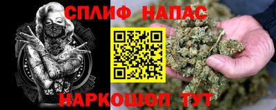 стаф Славгород