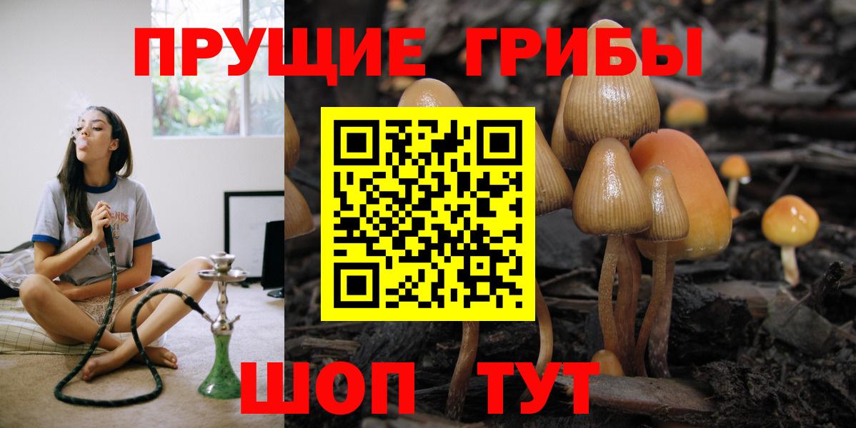 Галлюциногенные грибы Psilocybine cubensis  где купить наркоту  Вход с VPN  Орск  Псилоцибиновые грибы MAGIC MUSHROOMS 